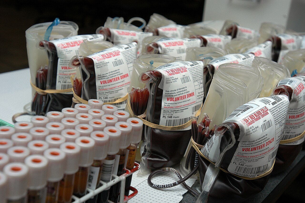 Bags of donated blood and sample vials waiting to be processed after a blood drive